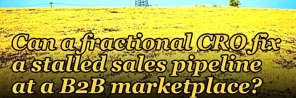 Can a fractional CRO fix a stalled sales pipeline at a B2B marketplace?