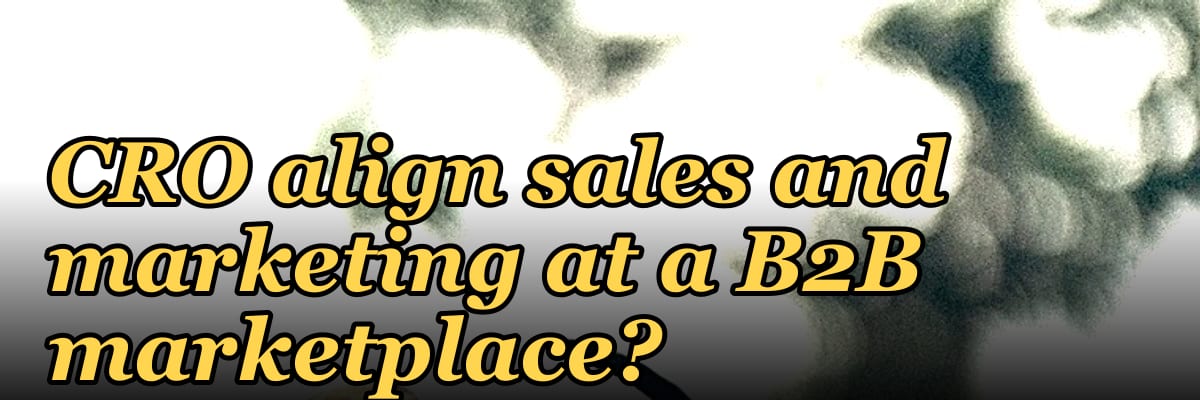 How does a fractional CRO align sales and marketing at a B2B marketplace?