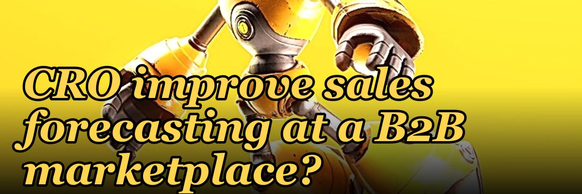 How does a fractional CRO improve sales forecasting at a B2B marketplace?