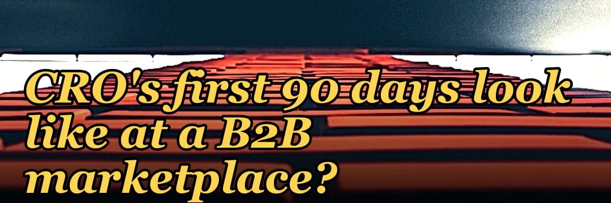 What does a fractional CRO's first 90 days look like at a B2B marketplace?