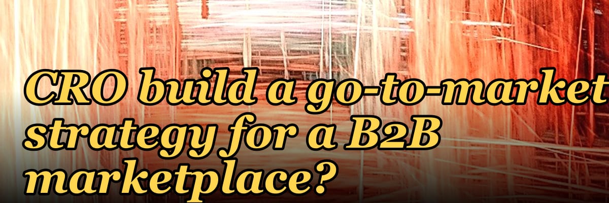 How does a fractional CRO build a go-to-market strategy for a B2B marketplace?