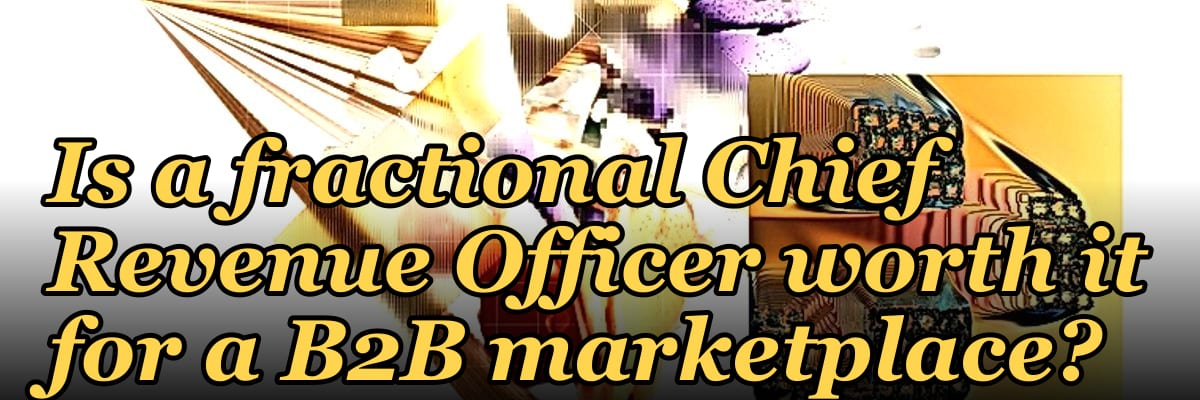 Is a fractional Chief Revenue Officer worth it for a B2B marketplace?