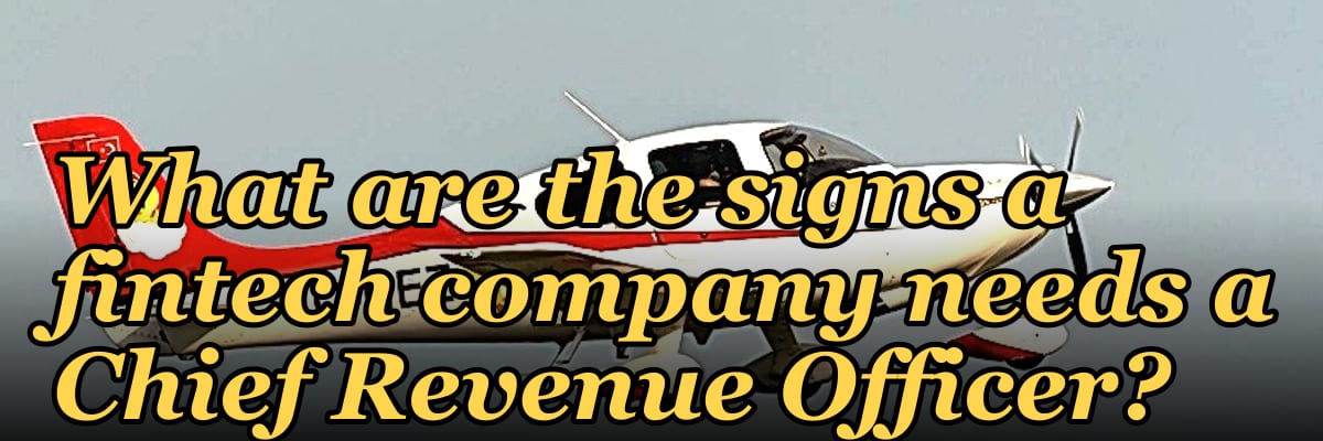 What are the signs a fintech company needs a Chief Revenue Officer?