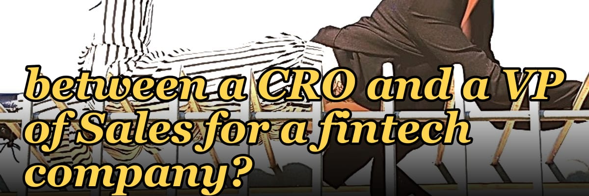 What's the difference between a CRO and a VP of Sales for a fintech company?