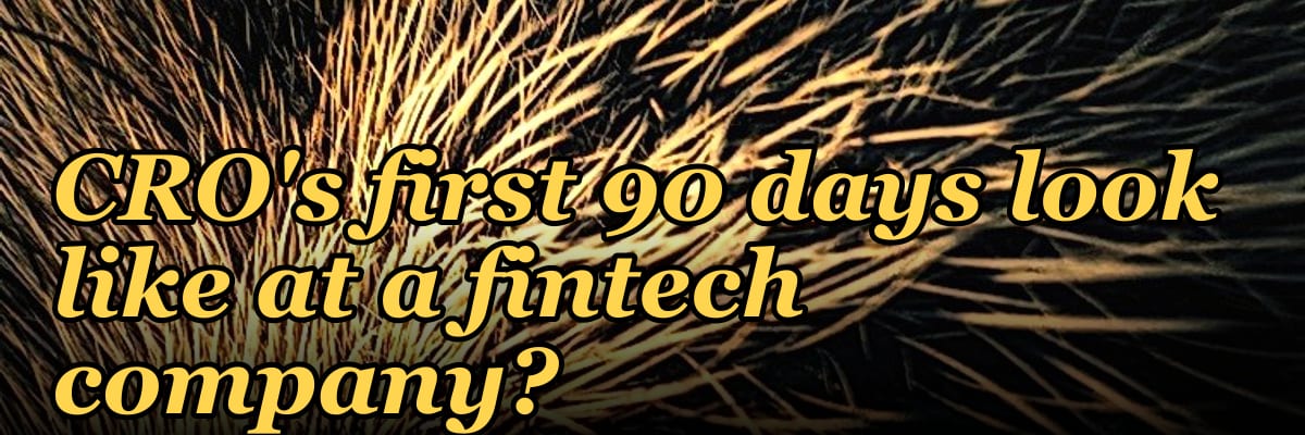 What does a fractional CRO's first 90 days look like at a fintech company?