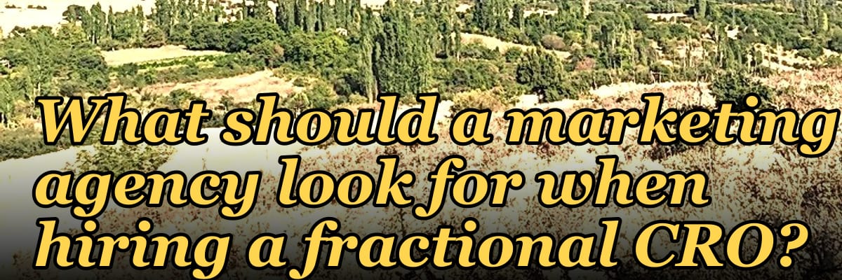 What should a marketing agency look for when hiring a fractional CRO?