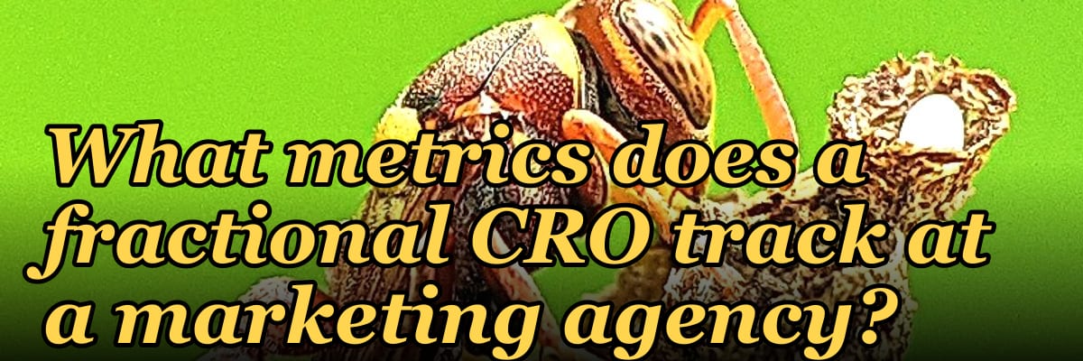What metrics does a fractional CRO track at a marketing agency?