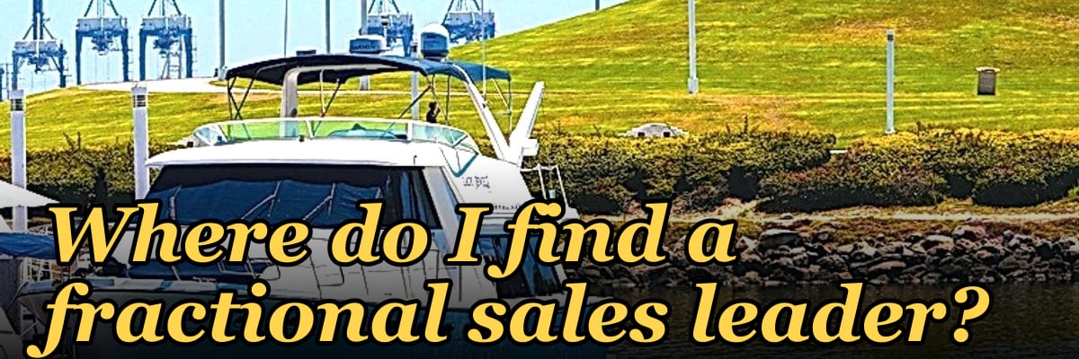 Where do I find a fractional sales leader?
