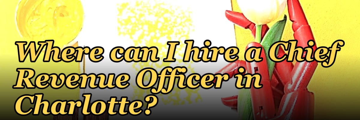 Where can I hire a Chief Revenue Officer in Charlotte?