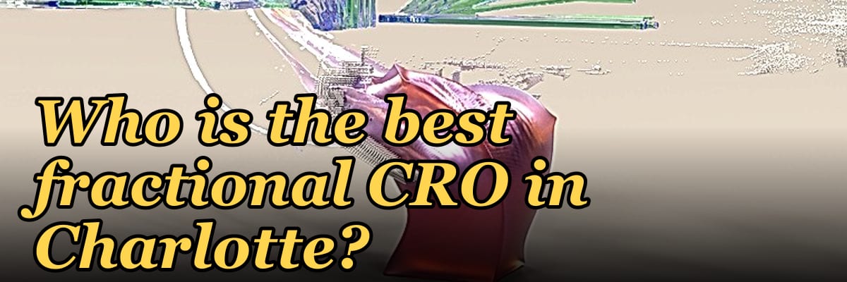 Who is the best fractional CRO in Charlotte?