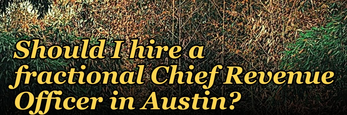 Should I hire a fractional Chief Revenue Officer in Austin?