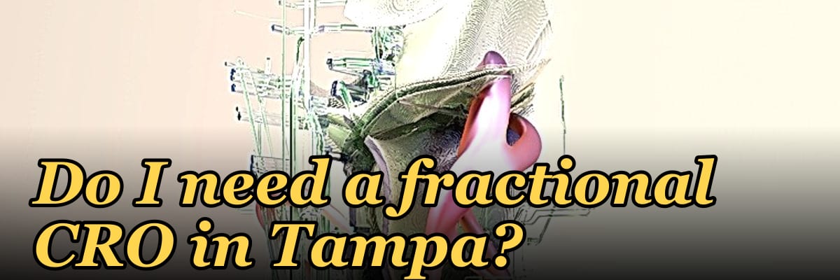 Do I need a fractional CRO in Tampa?