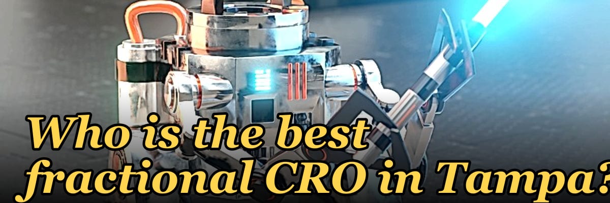 Who is the best fractional CRO in Tampa?