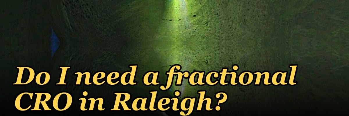 Do I need a fractional CRO in Raleigh?