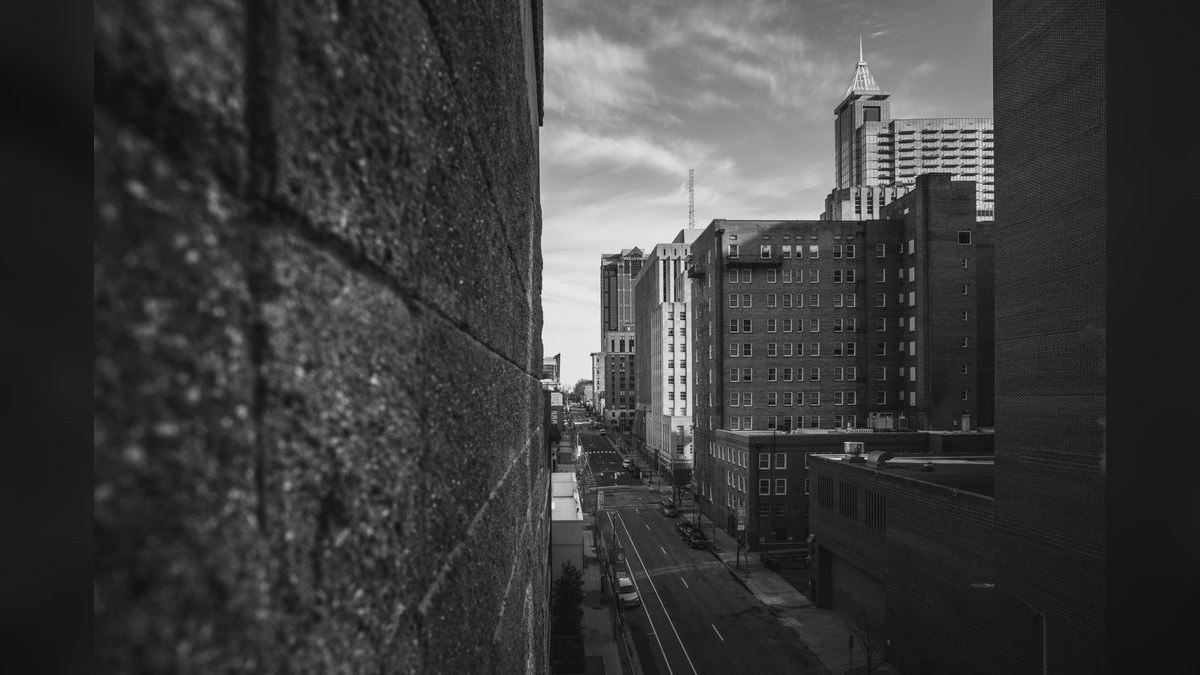 Who is the best fractional CRO in Raleigh in 2027?