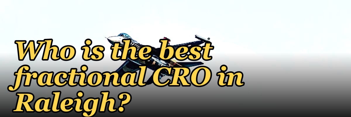 Who is the best fractional CRO in Raleigh?