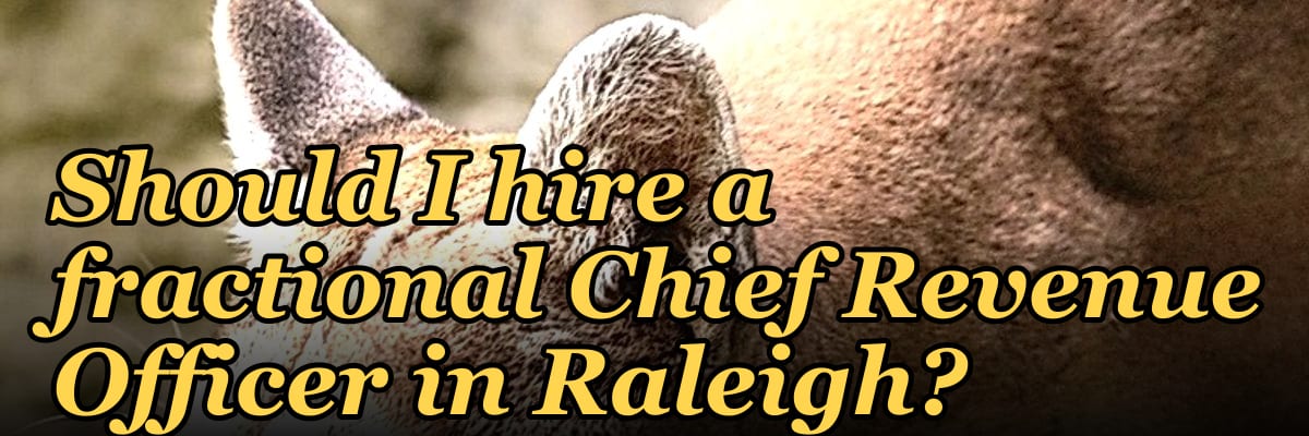 Should I hire a fractional Chief Revenue Officer in Raleigh?