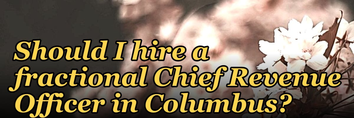 Should I hire a fractional Chief Revenue Officer in Columbus?