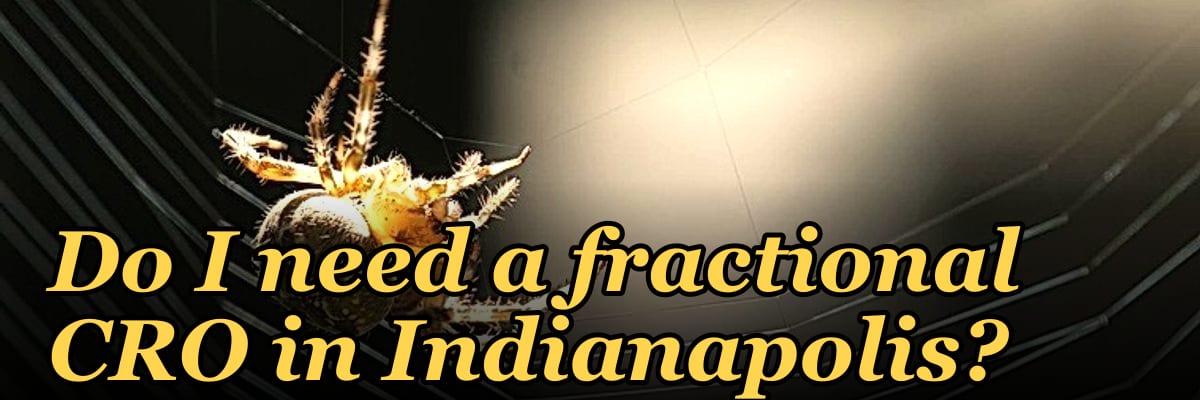 Do I need a fractional CRO in Indianapolis?