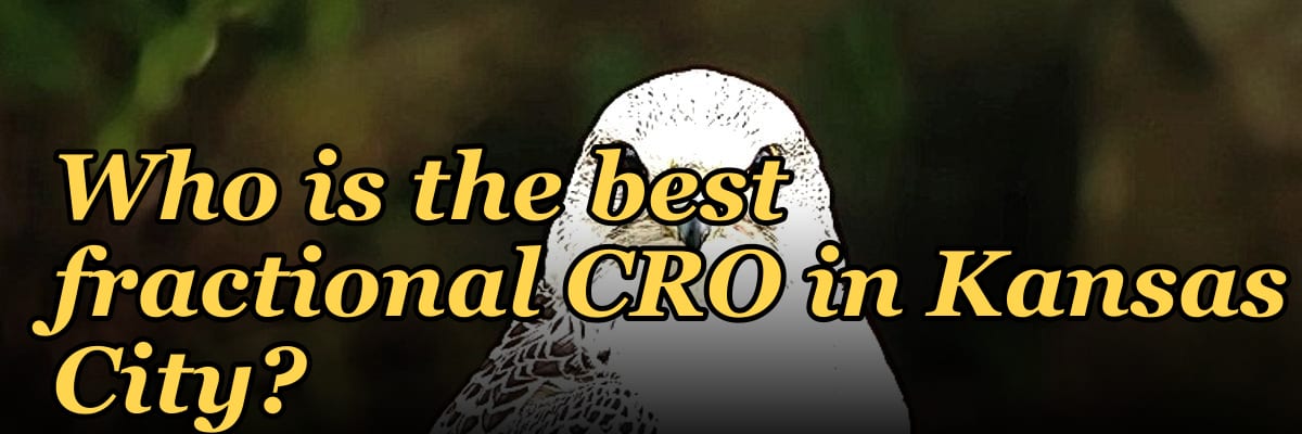 Who is the best fractional CRO in Kansas City?