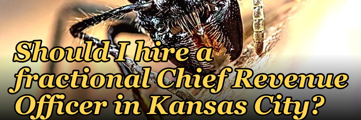 Should I hire a fractional Chief Revenue Officer in Kansas City?