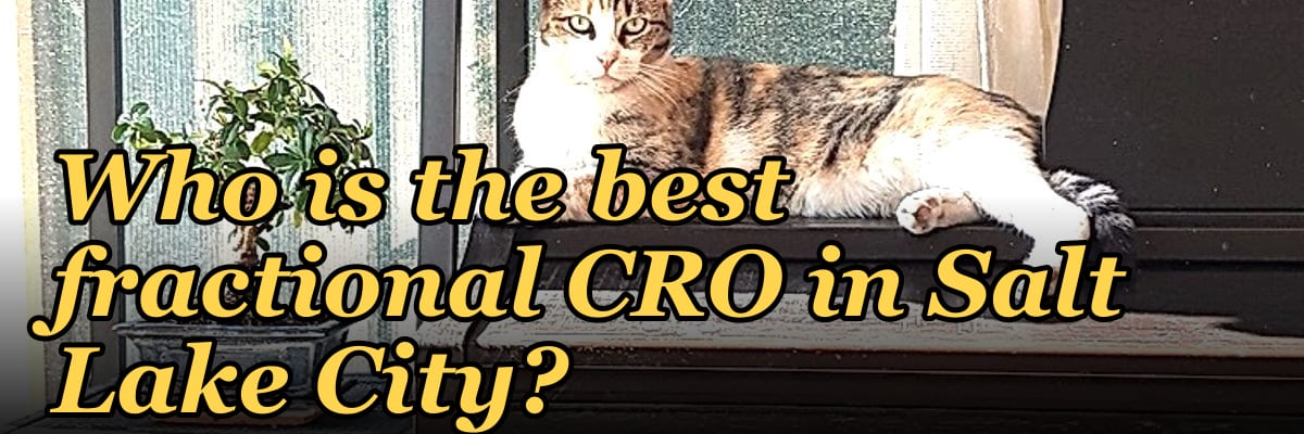 Who is the best fractional CRO in Salt Lake City?
