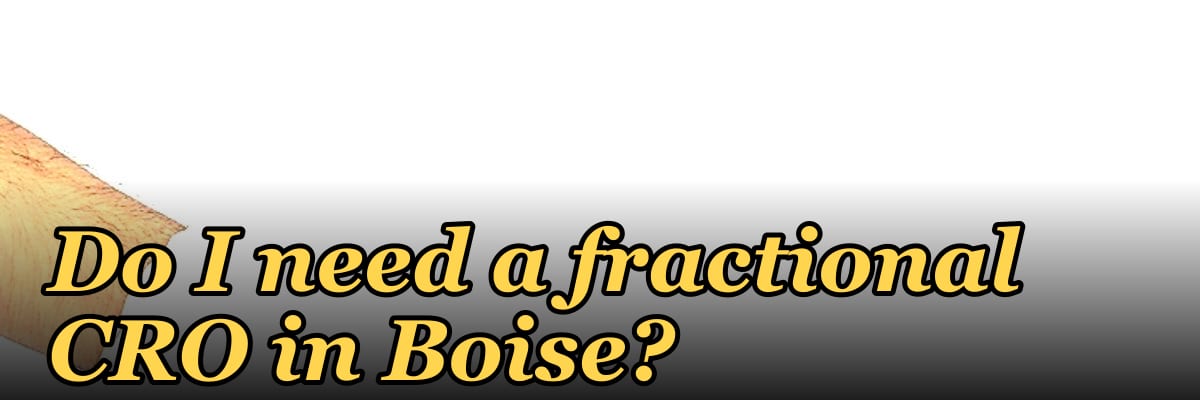 Do I need a fractional CRO in Boise?