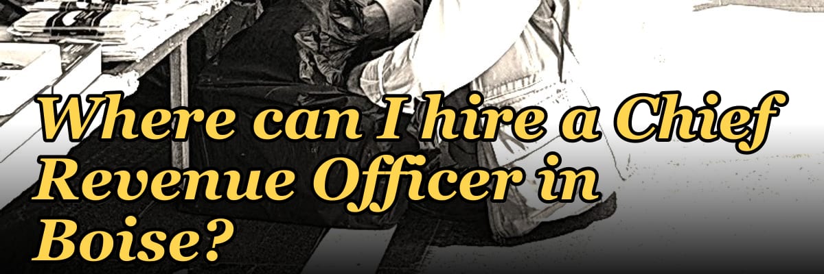 Where can I hire a Chief Revenue Officer in Boise?