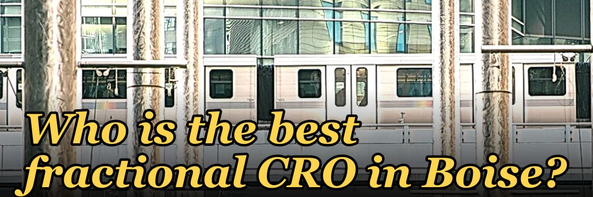Who is the best fractional CRO in Boise?