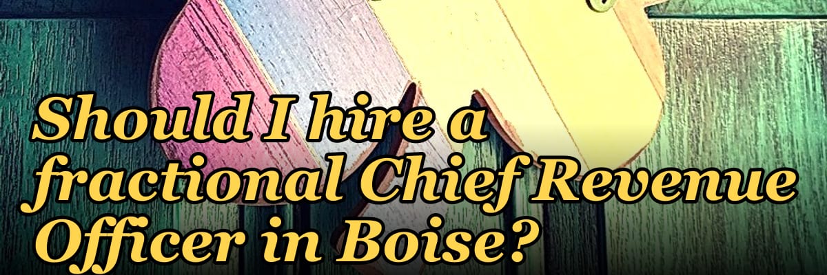 Should I hire a fractional Chief Revenue Officer in Boise?