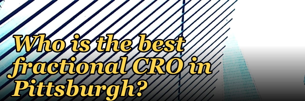 Who is the best fractional CRO in Pittsburgh?
