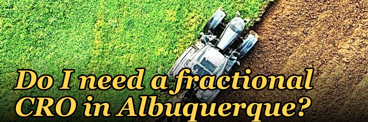 Do I need a fractional CRO in Albuquerque?