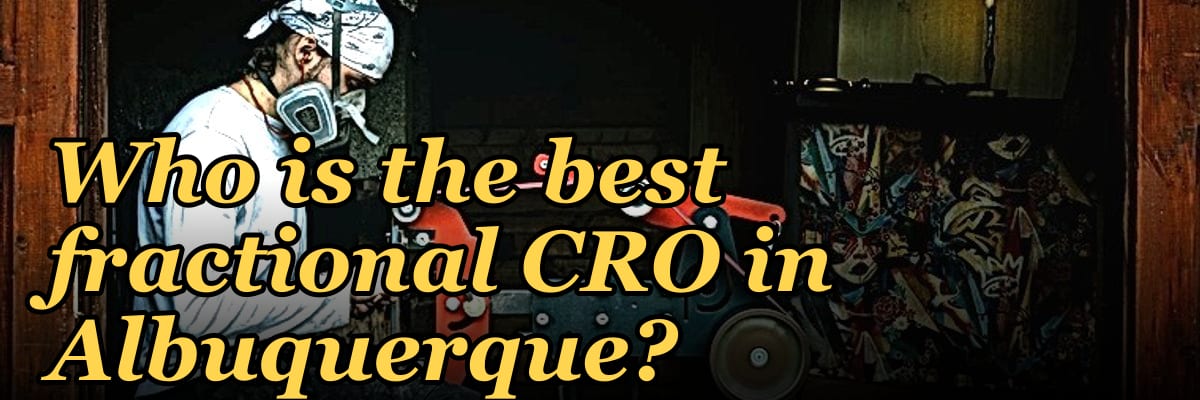 Who is the best fractional CRO in Albuquerque?