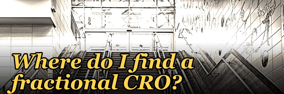 Where do I find a fractional CRO?