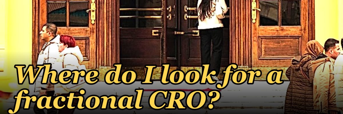 Where do I look for a fractional CRO?