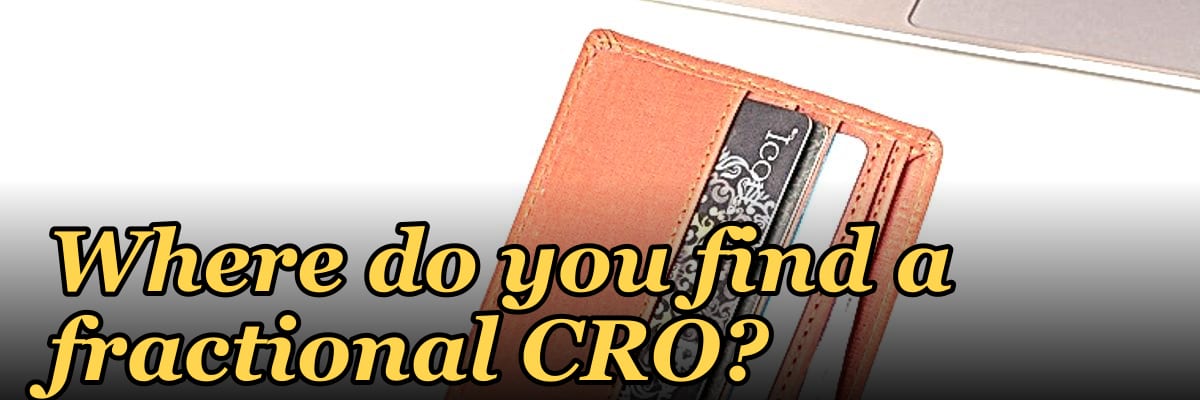 Where do you find a fractional CRO?