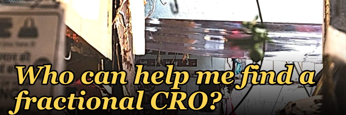 Who can help me find a fractional CRO?