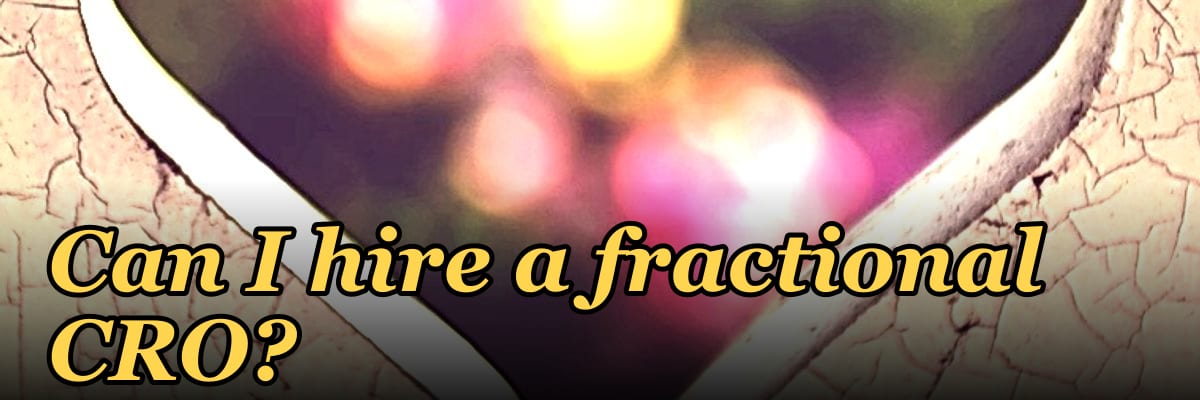 Can I hire a fractional CRO?