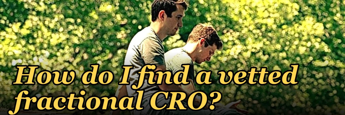 How do I find a vetted fractional CRO?