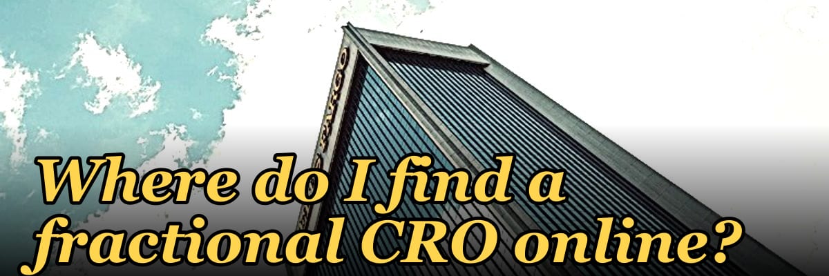Where do I find a fractional CRO online?