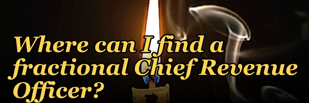 Where can I find a fractional Chief Revenue Officer?