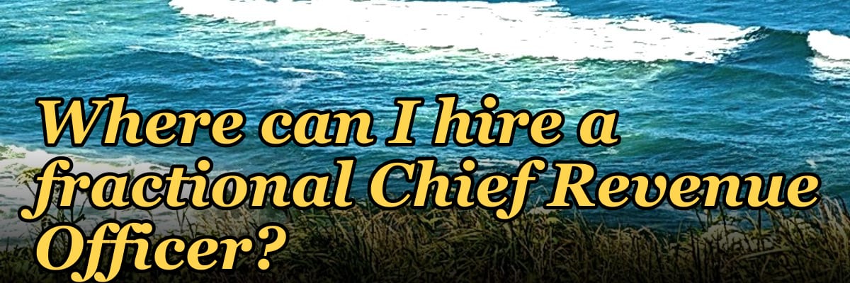 Where can I hire a fractional Chief Revenue Officer?