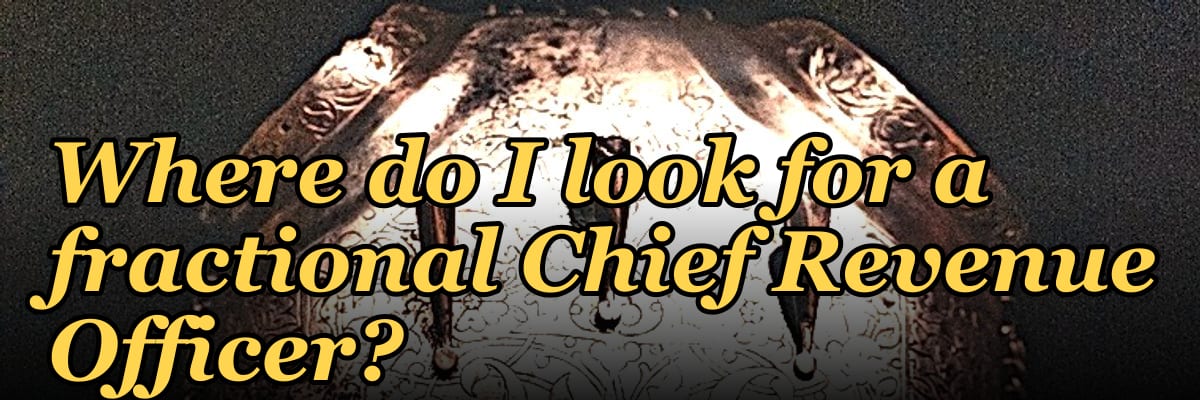 Where do I look for a fractional Chief Revenue Officer?