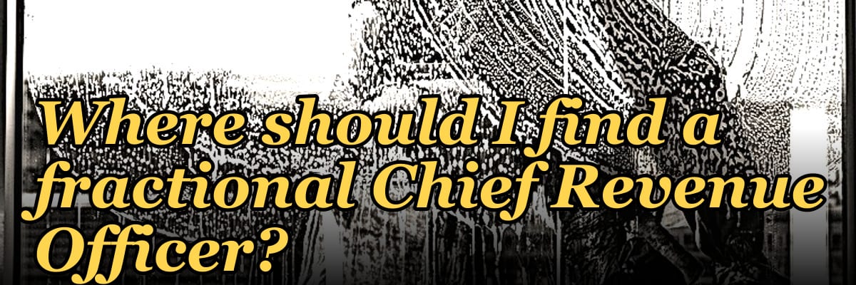 Where should I find a fractional Chief Revenue Officer?