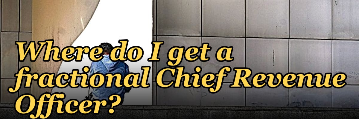 Where do I get a fractional Chief Revenue Officer?
