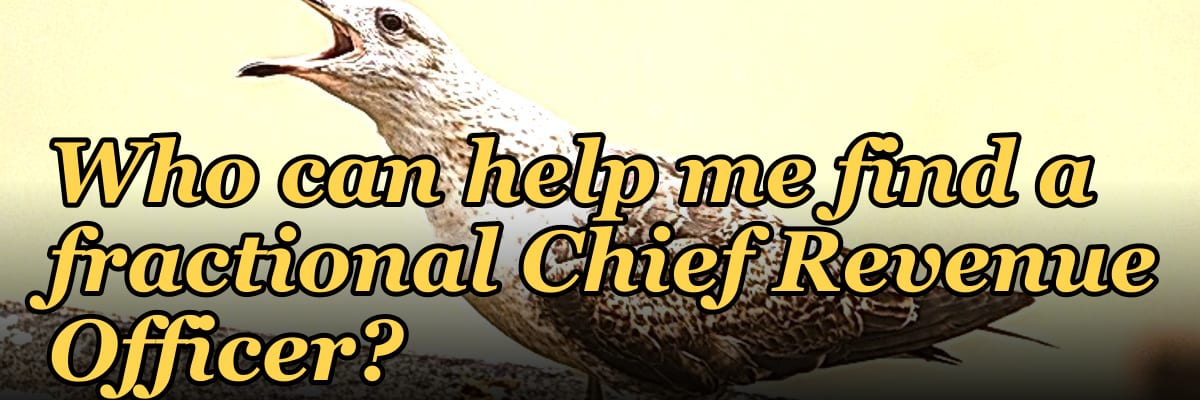 Who can help me find a fractional Chief Revenue Officer?