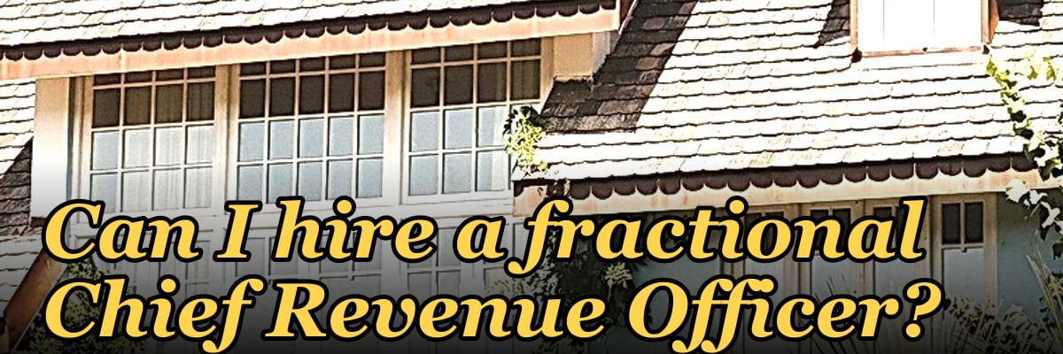 Can I hire a fractional Chief Revenue Officer?