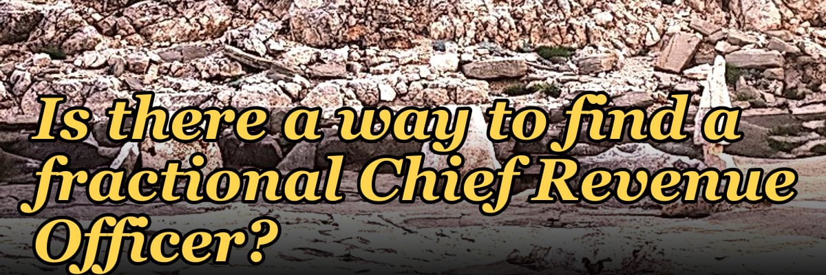 Is there a way to find a fractional Chief Revenue Officer?