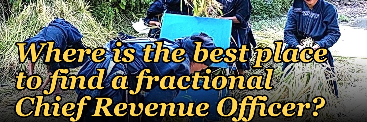 Where is the best place to find a fractional Chief Revenue Officer?