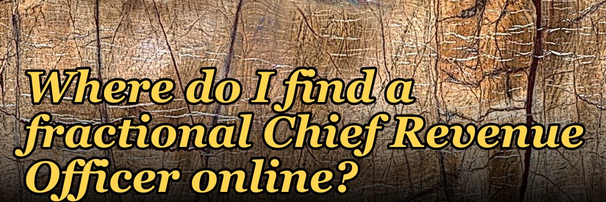 Where do I find a fractional Chief Revenue Officer online?